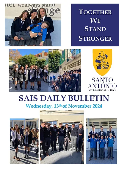 Daily Bulletin 13.11.2024