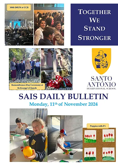 Daily Bulletin 11.11.2024