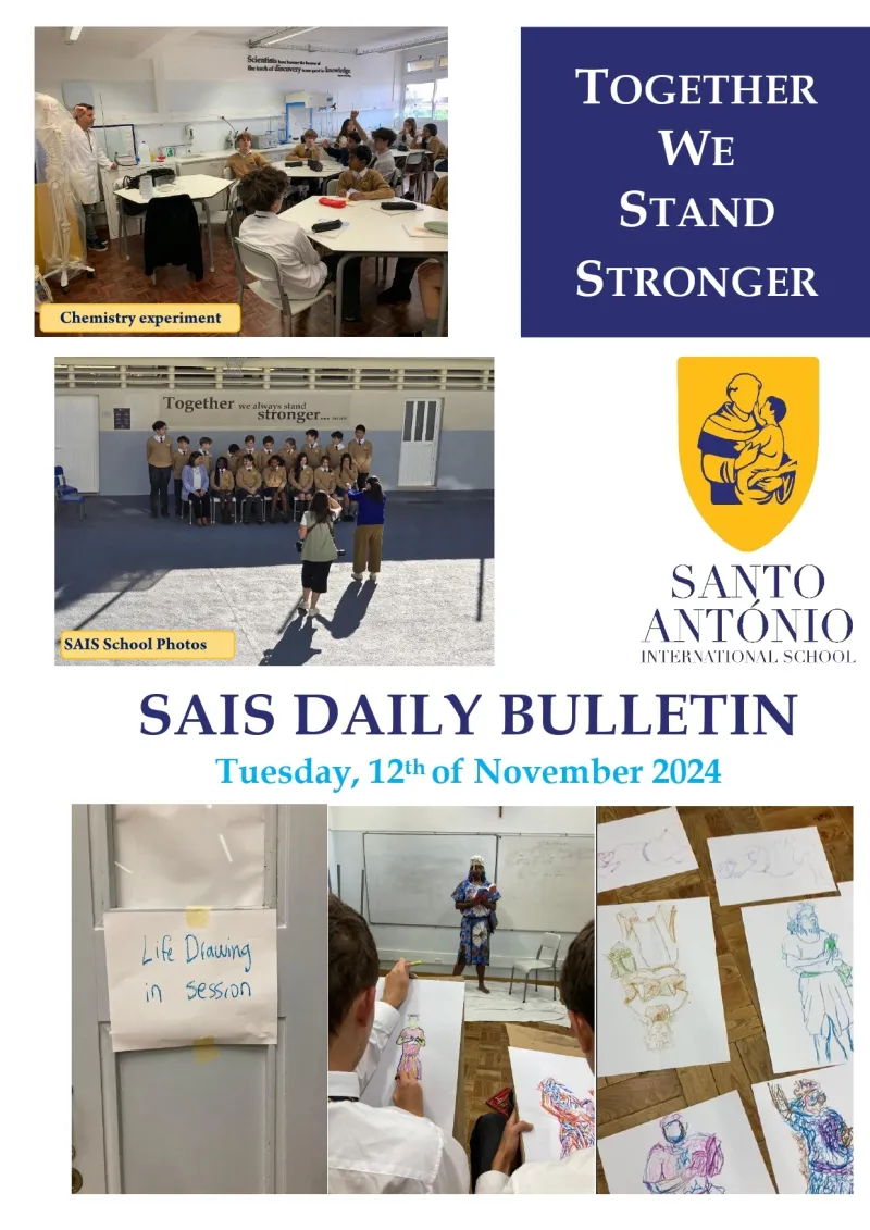 Daily Bulletin 12.11.2024