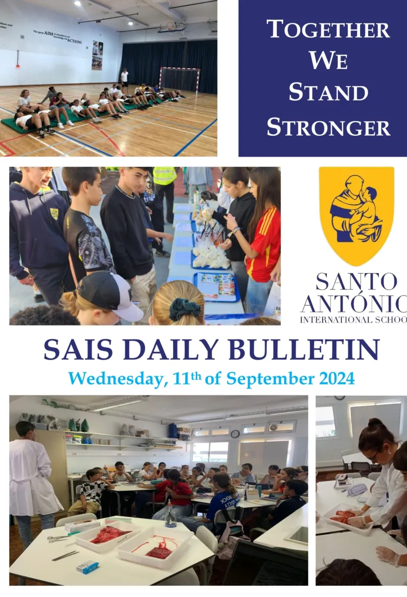 Daily Bulletin 11.09.2024