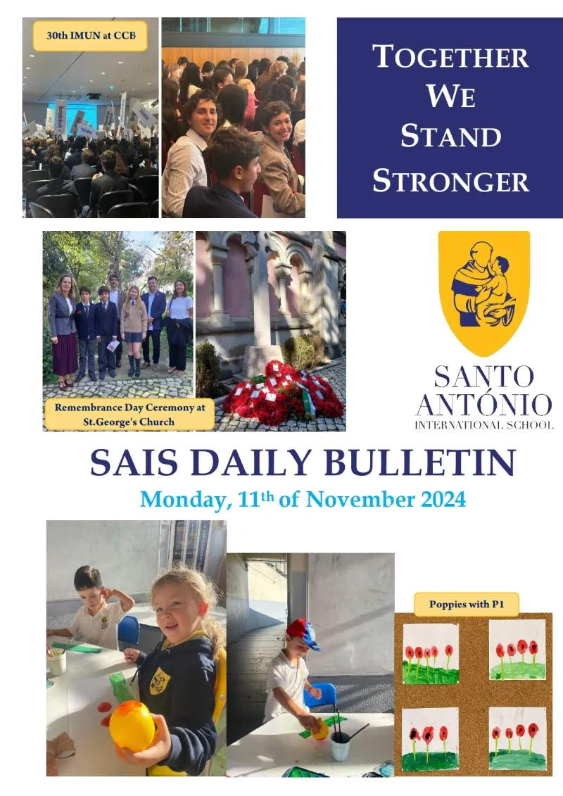 Daily Bulletin 11.11.2024